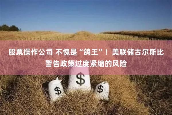 股票操作公司 不愧是“鸽王”！美联储古尔斯比警告政策过度紧缩的风险