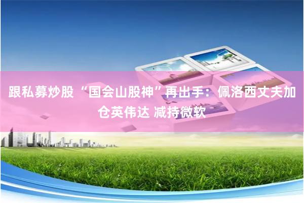 跟私募炒股 “国会山股神”再出手：佩洛西丈夫加仓英伟达 减持微软