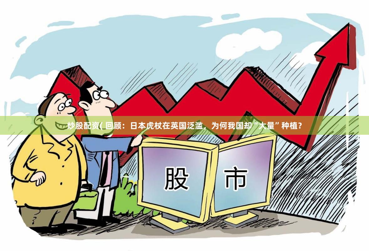 炒股配资( 回顾：日本虎杖在英国泛滥，为何我国却“大量”种植？