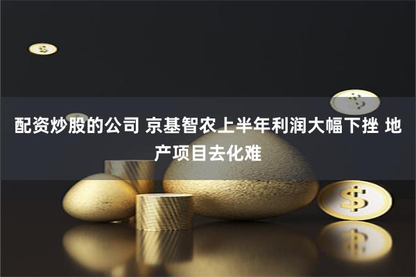 配资炒股的公司 京基智农上半年利润大幅下挫 地产项目去化难