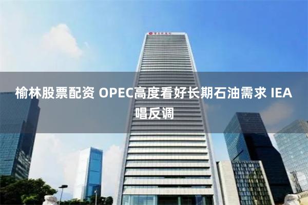 榆林股票配资 OPEC高度看好长期石油需求 IEA唱反调