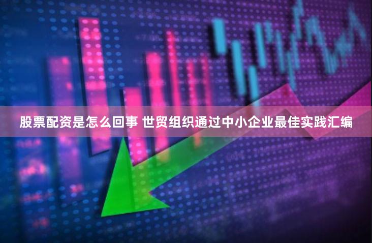 股票配资是怎么回事 世贸组织通过中小企业最佳实践汇编