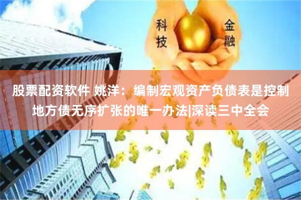 股票配资软件 姚洋：编制宏观资产负债表是控制地方债无序扩张的唯一办法|深读三中全会