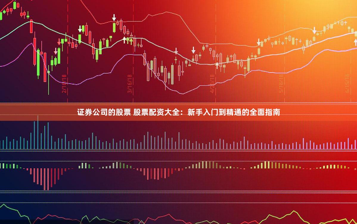 证券公司的股票 股票配资大全：新手入门到精通的全面指南