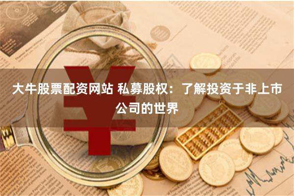 大牛股票配资网站 私募股权：了解投资于非上市公司的世界